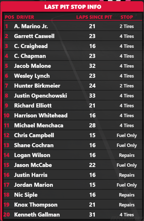 Pitstops & Patchups screenshot